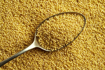 Peeled milled on a metal spoon