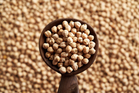 Dry chickpeas or garbanzo beans on a spoon