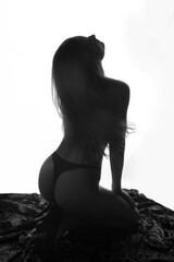 linda Mulher bela ensaio feminino lingerie boudoir fotografia sexy sensual	