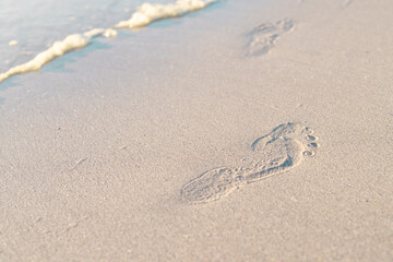 Fototapeta na wymiar High angle view of footprints on sandy beach at seashore during sunset, copy space