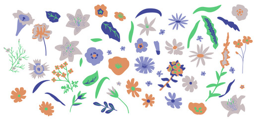 Isolated flowers set