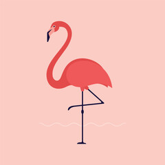 Pink flamingo vector illustration isolated on nice background.Bird Vector Design. Animal World Illustration Design