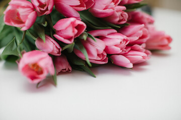 Bouquet of pink tulips on a white background. Copy space. 