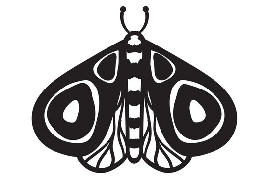 Butterfly SVG, Butterfly SVG File,, Butterfly Clipart, Butterflies Svg, Monarch Svg