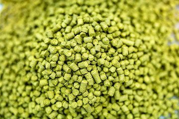 granulated hops for beer production. brewing beer in a brewery