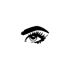 vector illustration of woman's eye with eyebrows