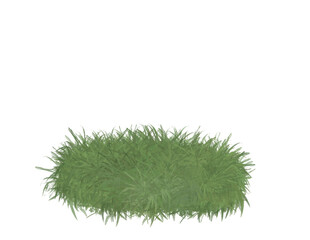 grass 