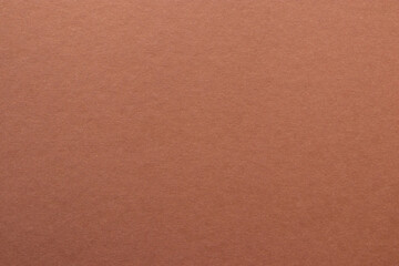 Brown colored tinted paper texture swatch.