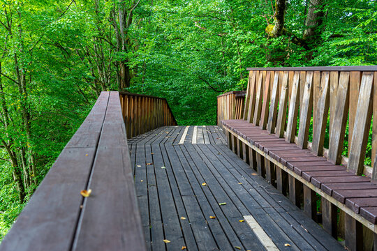 Sovata city and Ursul lake resort. It is known for balneoclimateric and mud treatments. Sovata, Romania on August 24, 2022