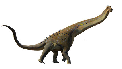 Alamosaurus, a long-necked dinosaur from the Late Cretaceous period isolated on transparent background