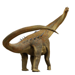 Alamosaurus, a long-necked Titanosaurus dinosaur from the Late Cretaceous period, isolated on transparent background  © dottedyeti