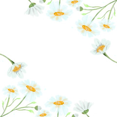 Watercolor daisy flower transparent background, watercolor flower, watercolor floral for wedding card