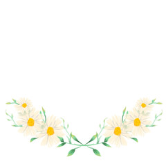 Watercolor daisy flower transparent background, watercolor flower, watercolor floral for wedding card
