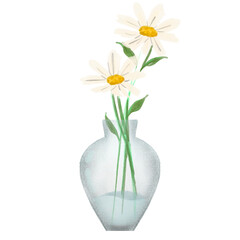 Watercolor daisy flower transparent background, watercolor flower, watercolor floral for wedding card