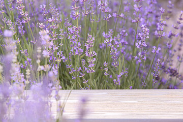 Perspective background with wooden table for your design. Lavender field region Provence