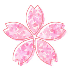  pink flower, cherry blossom