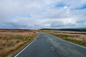 road in the desert