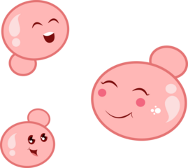 Candida auris kawaii cartoon science transparent illustration