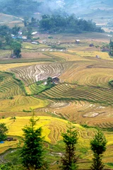 Store enrouleur Toscane Admire the beautiful terraced fields in Y Ty commune, Bat Xat district, Lao Cai province northwest Vietnam on the day of ripe rice harvest.  © Quang