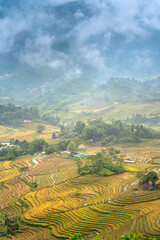 Admire the beautiful terraced fields in Y Ty commune, Bat Xat district, Lao Cai province northwest Vietnam on the day of ripe rice harvest.