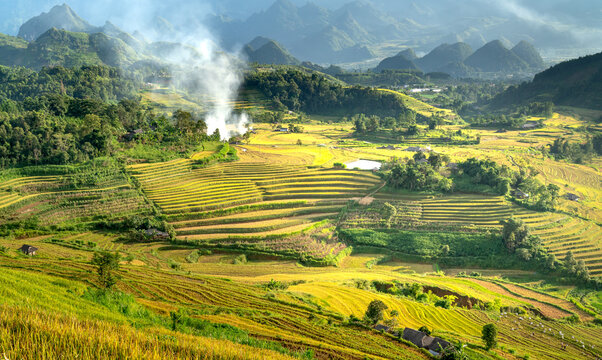 Admire the beautiful terraced fields in Y Ty commune, Bat Xat district, Lao Cai province northwest Vietnam on the day of ripe rice harvest.