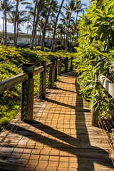 The Wailea Beach Path Leading to Ulua Beach, Maui, Hawaii, USA