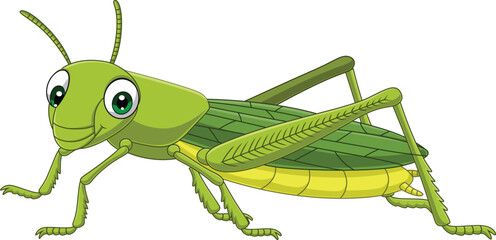 Cartoon grasshopper on white background - 584089728