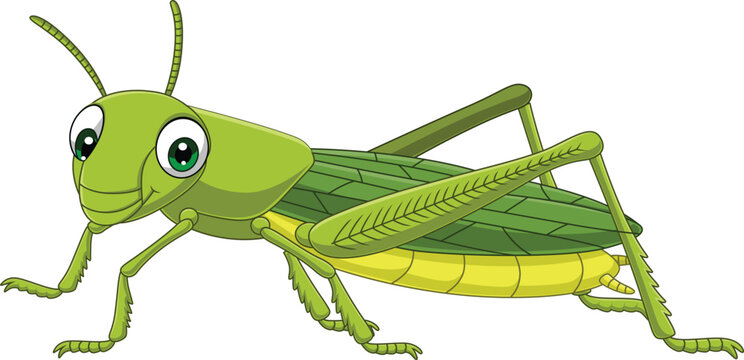 Cartoon grasshopper on white background