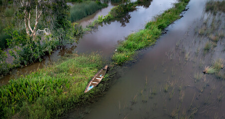 A boat on the swamp. The concept of loneliness