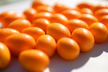 Close up on a group of small kumquats, illuminated by the sun