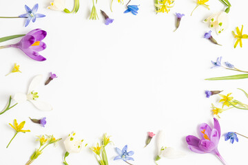 Festive frame from different spring flowers on a white background. Flat lay, top view and copy space.