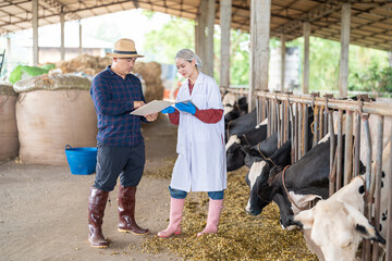 Male farm owner and female livestock veterinarian standing in cow barn consulting farmer's calendar...