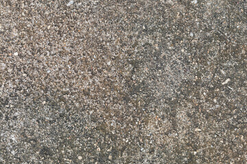 Gray textured cement wall background with fine concrete chips. Construction backgrounds