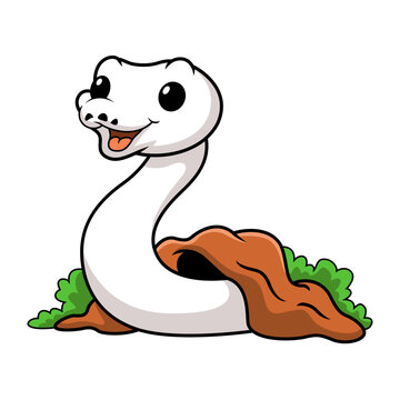 Cute white leucistic ball python snake cartoon out from hole