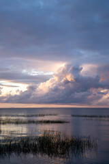 Obraz premium Calm lakeside at sunset in summer evening. Grassy seashore in the evening against a cloudy sunset sky.