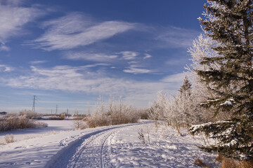 Pylypow Wetlands in the Winter