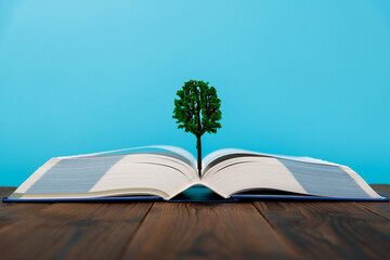 Tree grow out of open book