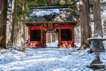 The big red togakushi shrine stands in the snowy forest in Togakushi Japan. Tall old cedar trees and snow on the forest floor. A famous historical Shinto shrine.