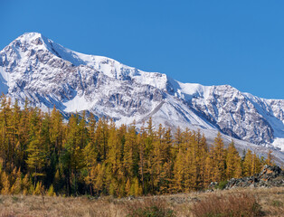 Fototapeta na wymiar Peak Kurkurek on North Chui mountain range. Altai, Siberia, Russia