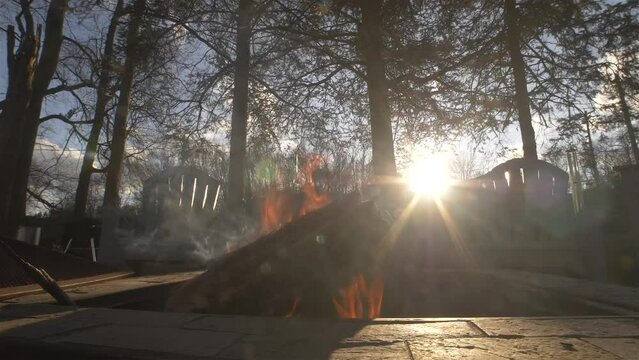 Fire pit slow motion with sunset backyard trees