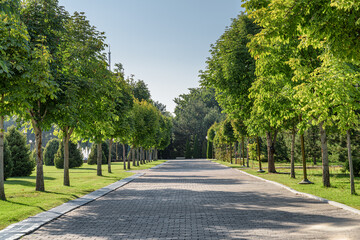 Awesome view of beautiful green alley in a city park