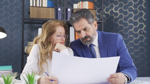 Managers who develop ideas within the scope of the project.
Two managers are developing an idea about a project in the office.

