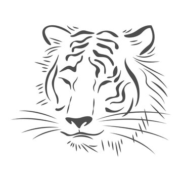 Tiger icon logo design