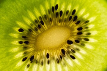 abstract close up of kiwi fruit seeds