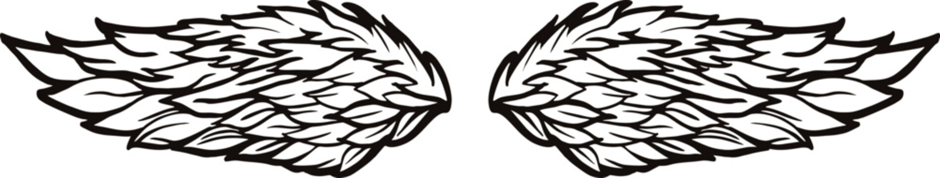 wings vector image illustrations