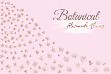 Alamanda line flowers.
frame and pink background vector illustration.