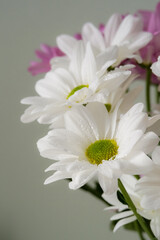 Bouquet of white flowers close up