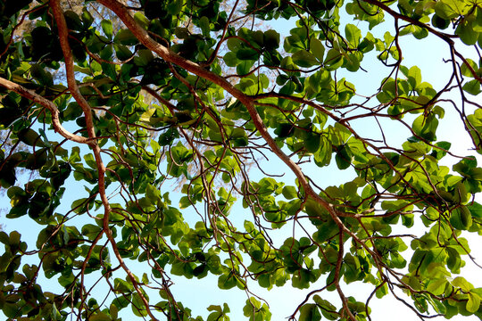 Under View