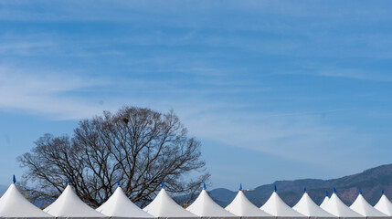 텐트 지붕 위의 앙상한 느티나무와 푸른 하늘