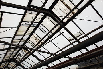 Metal frames inside the greenhouse.
